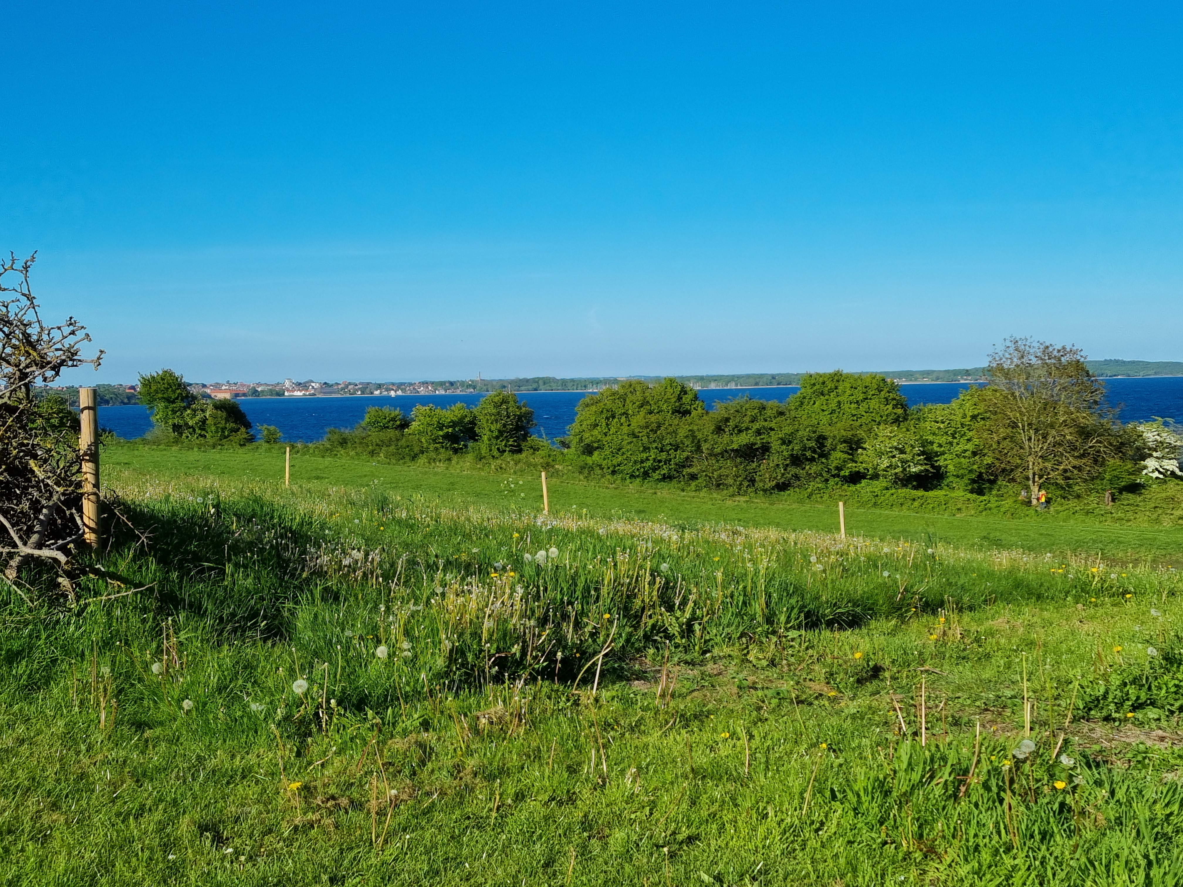 Udsigten med kig til Sønderborg.jpg